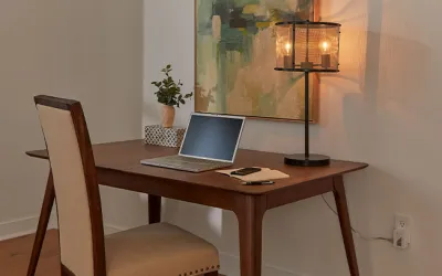 
Lutron Caseta Wireless Smart Outlet
