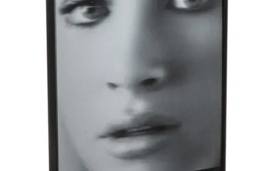 
Amcrest AD410 Doorbell
