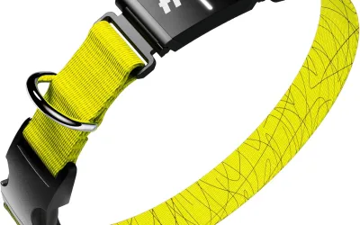 
Fi Smart Dog Collar (Series 3)
