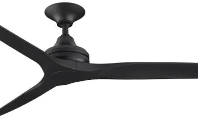
Fanimation Spitfire Smart Ceiling Fan

