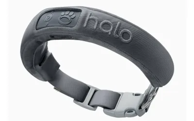 
Halo Collar 3
