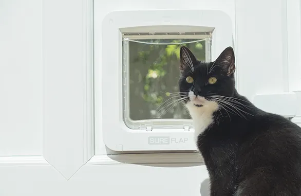 SureFlap Microchip Pet Door Connect