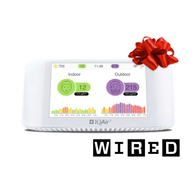 IQAir AirVisual Pro Air Quality Monitor