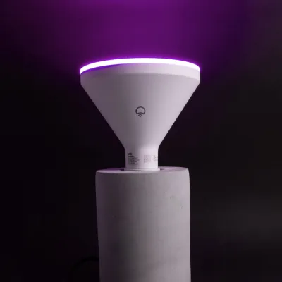 LIFX A19 Outdoor Smart Bulb