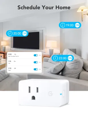 Govee Smart Plug