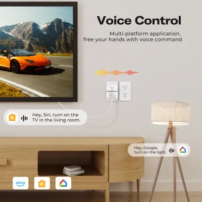 Third Reality Matter Smart Plug