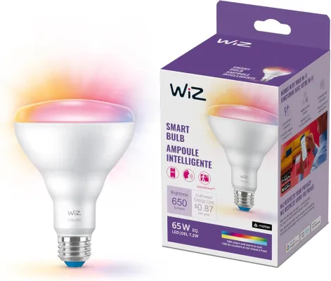 WiZ BR30 Matter Smart Bulb