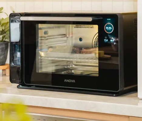 Anova Precision Oven
