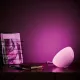 Philips Hue Go Portable Light